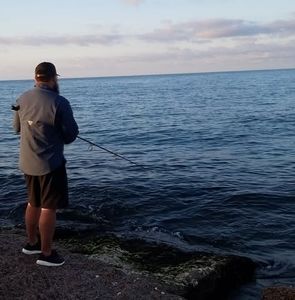 Meet your Posher, Ronnie